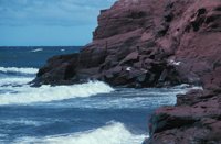 010309_0801_0609_nsls.jpg