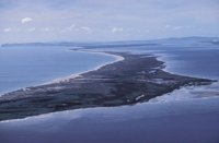 010309_0801_0603_nsls.jpg