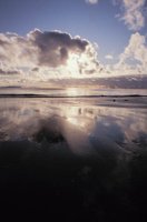 010309_0801_0602_nsls.jpg