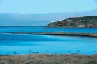010309_0801_0599_nsls.jpg