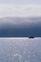 010309_0801_0594_nsls.jpg