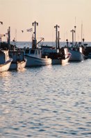 010309_0801_0590_nsls.jpg