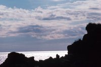 010309_0801_0589_nsls.jpg