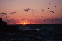 010309_0801_0587_nsls.jpg