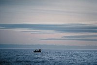 010309_0801_0586_nsls.jpg