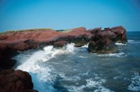 010309_0801_0585_nsls.jpg