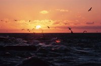 010309_0801_0578_nsls.jpg