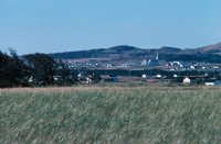 010309_0801_0574_nsls.jpg