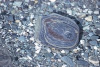 010309_0801_0563_nsls.jpg