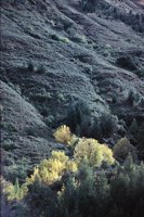 010309_0801_0562_nsls.jpg