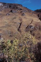 010309_0801_0559_nsls.jpg