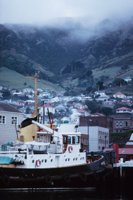 010309_0801_0553_nsls.jpg