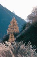 010309_0801_0551_nsls.jpg