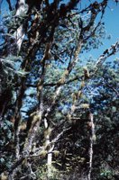 010309_0801_0549_nsls.jpg