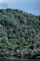 010309_0801_0546_nsls.jpg