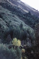 010309_0801_0533_nsls.jpg