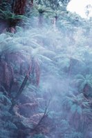 010309_0801_0531_nsls.jpg