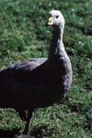 010309_0801_0525_nsls.jpg