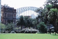 010309_0801_0520_nsls.jpg
