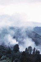 010309_0801_0516_nsls.jpg