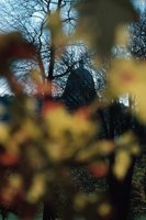 010309_0801_0510_nsls.jpg