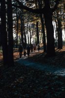 010309_0801_0509_nsls.jpg