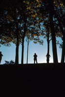 010309_0801_0501_nsls.jpg