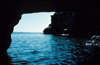 010309_0801_0490_nsls.jpg