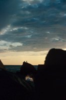 010309_0801_0487_nsls.jpg