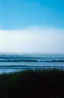010309_0801_0486_nsls.jpg