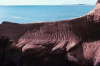 010309_0801_0482_nsls.jpg