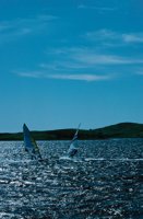 010309_0801_0481_nsls.jpg