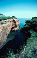 010309_0801_0478_nsls.jpg