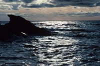 010309_0801_0473_nsls.jpg