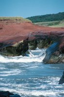 010309_0801_0467_nsls.jpg
