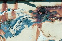 010309_0801_0466_nsls.jpg