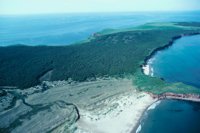 010309_0801_0462_nsls.jpg