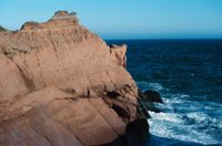010309_0801_0460_nsls.jpg