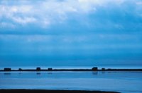 010309_0801_0458_nsls.jpg