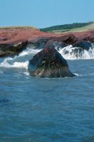 010309_0801_0456_nsls.jpg