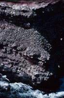 010309_0801_0454_nsls.jpg