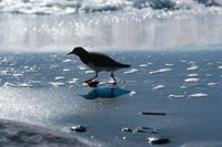 010309_0801_0452_nsls.jpg