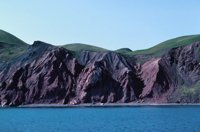 010309_0801_0446_nsls.jpg