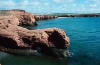 010309_0801_0433_nsls.jpg