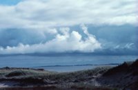 010309_0801_0432_nsls.jpg