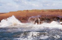 010309_0801_0430_nsls.jpg