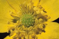 010309_0801_0429_nsls.jpg