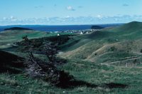 010309_0801_0412_nsls.jpg