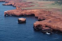 010309_0801_0411_nsls.jpg