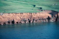 010309_0801_0409_nsls.jpg